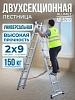 Лестница двухсекционная Ал 5209