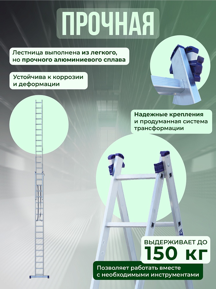 Лестница двухсекционная Alumet Ал 6217 фото 3