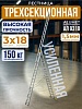 Лестница трехсекционная Ал 9318