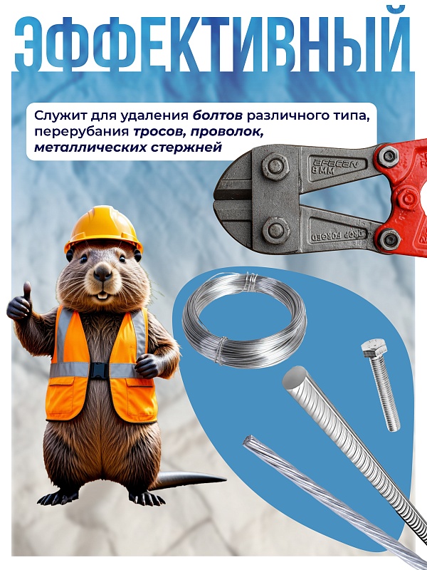 /upload/resize_cache/iblock/a7f/800_800_0/xy0jqkkj5qwuar9hlsyas86vte5a54rv.jpg